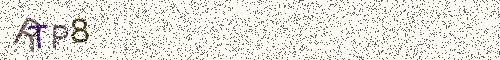 Cryptogramme