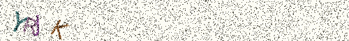 Cryptogramme