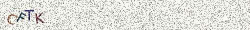 Cryptogramme