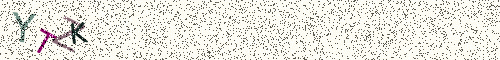 Cryptogramme