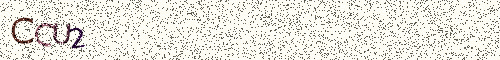 Cryptogramme